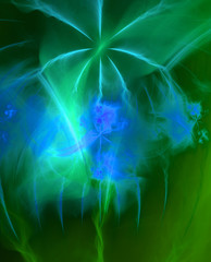 Abstract fractal background made out of clouds and nebula and abstract stars