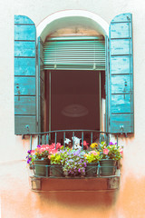 view of window with shutters and decoration plants in pots