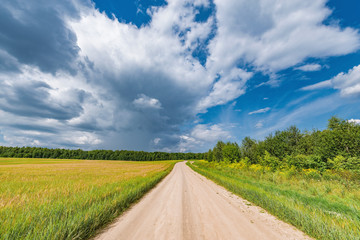 Field with rye and road at day time.