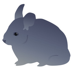 little mouse, gray color Fluffy pet