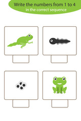 Visual game with frog life cycle for kids, educational task for the development of logical thinking, preschool worksheet activity, write numbers, vector illustration