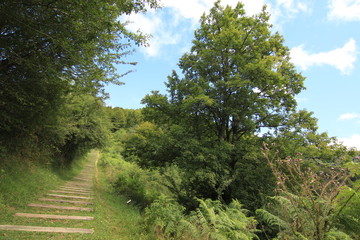 Selva Irati Pais Vasco