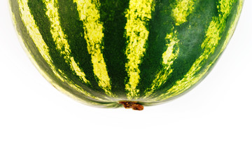Watermelon with striped peel on a white isolated background. Variety of Red Watermelon