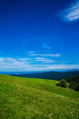 Germany, Hilly green meadows of grassland next to endless forested mountains and hills in black forest nature scenery on top of a mountain