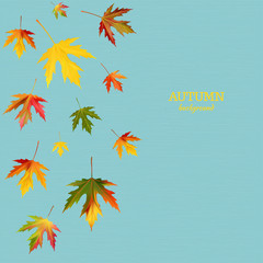 Maple leaves. Autumn background. Red. Yellow. Green. Vector illustration.