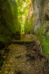 Le incredibili Vie Cave, scavate dagli etruschi tra i borghi di Pitigliano e Sorano, Toscana, Italia