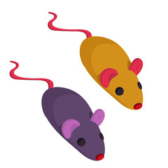 Cute, toys for pets, pet store