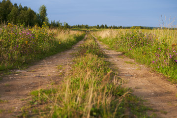 Fototapeta na wymiar Old dirt road in the middle of a field on a Sunny day