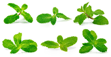 Set fresh raw mint leaves isolated on the white background.