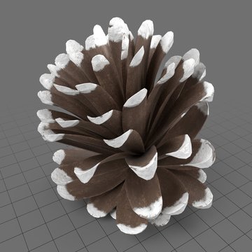 Frosted pine cone 1