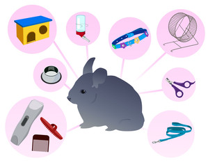 Cute, funny, beautiful pet shop 