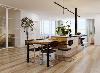 modern kitchen interior.