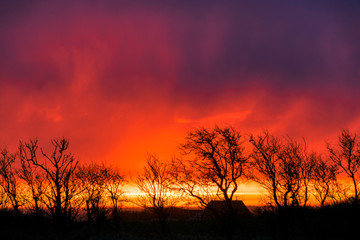 very beautiful view with sunrise and very colorful sky with black tree silhouettes in the foreground, Denmark