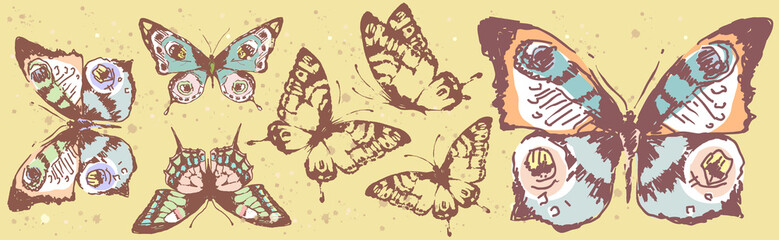 butterfly222