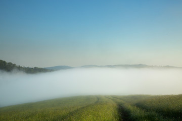 Morning fog creeps along the valley.