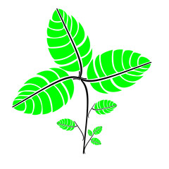 cartoon little tree branch with green leaves and white background