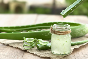 Aloe Vera very useful herbal medicine for skin treatment and use in spa for skin care. herb in nature - obrazy, fototapety, plakaty