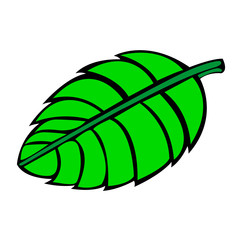 green tree leaf and black details with white background