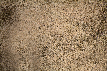 Sand texture with pebbles.