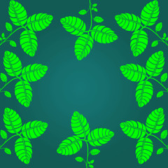 frame of green tree leaves with blue background