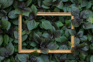 Creative layout made of leaves with wooden frame. Nature concept