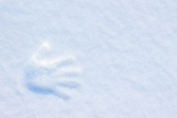 Obraz premium Imprint hand palm in the snow. Copy space_