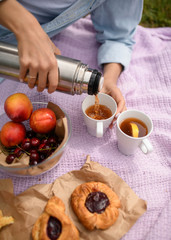 picnic in summer in nature