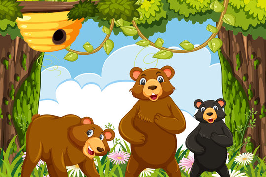 Bears in jungle scene