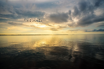 Birds flying during the sunrise over Songkhla Lake, Thailand