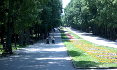 Ludzie spacerujący szeroką aleją w parku