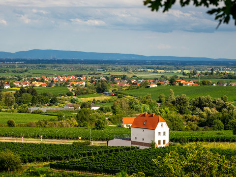 Freinsheim - Deutsche Weinstra&szlig;e