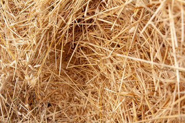 straw lying in stacks on the field
