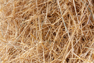 straw lying in stacks on the field