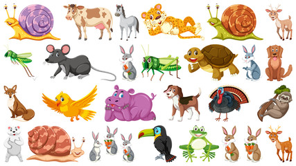 Set of isolated wild animals © brgfx