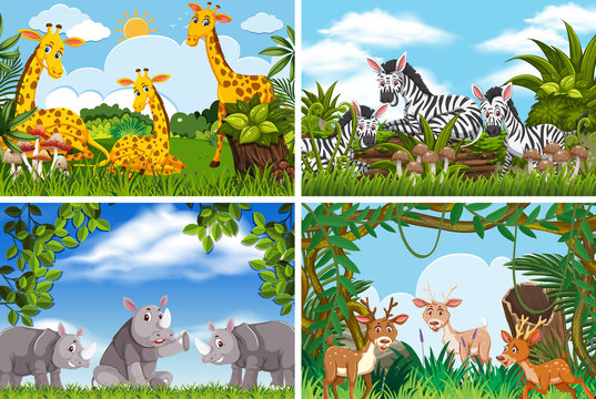 Set of various animals in nature scenes