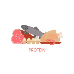 Diet. Healthy eating concept. Proteins food icons isolated on white background.  Daily ration. Proteins, fats, carbohydrates. Vector  illustration.