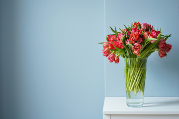 Beautiful bouquet of red tulips in a glass vase on a white table in a bright interior . Against a light blue wall.