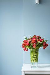 Beautiful bouquet of red tulips in a glass vase on a white table in a bright interior . Against a light blue wall.