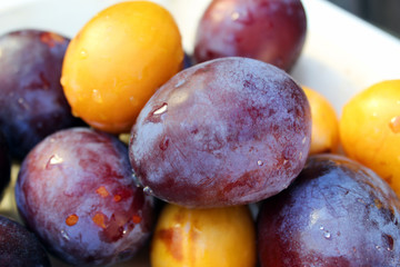 Fresh blue and yellow plums close up. Natural fruits