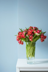 Beautiful bouquet of red tulips in a glass vase on a white table in a bright interior . Against a light blue wall.