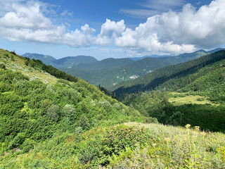 Abkhazia, area of Gelgeluk in summer