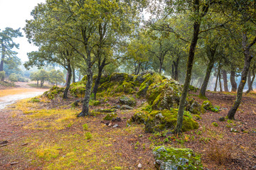 Fototapeta premium Sierra Huétor, Granada