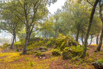 Sierra Huétor, Granada