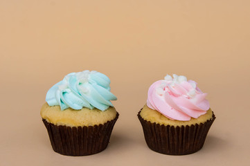 sweet cup cake dessert on yellow background and copy space