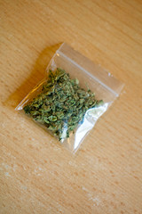 Marihuana in small bug macro fifty megapixels