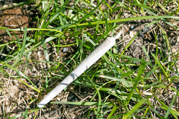 Cannabis joint macro in grass background fifty megapixels