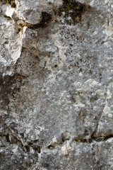 Rôcher
