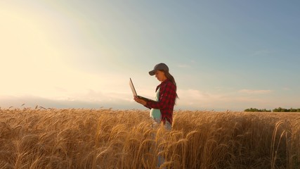 Naklejka na ściany i meble Farmer girl works with a tablet in wheat field, plans a grain crop. agriculture concept. Woman agronomist studies wheat crop in field. entrepreneur in the field of planning his income.