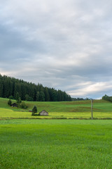 Obraz premium Wiese mit Scheune im Allgäu