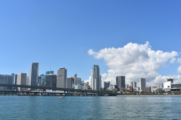 Fototapeta na wymiar Views of the city of Miami. Tall buildings.